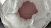 Manganese Chloride in granule (anhydrous, technical grade)